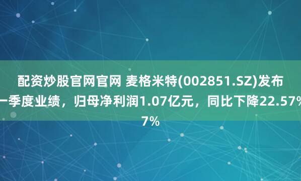 配资炒股官网官网 麦格米特(002851.SZ)发布一季度业绩，归母净利润1.07亿元，同比下降22.57%