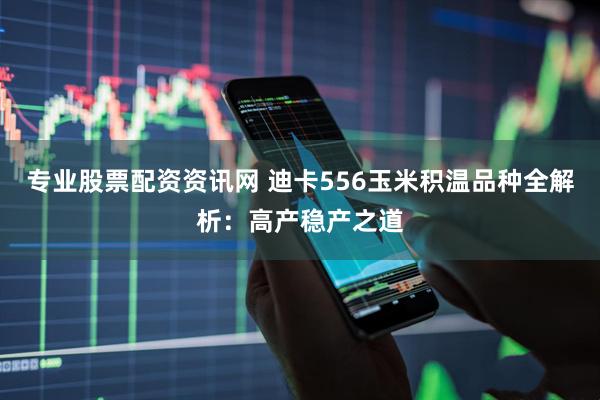 专业股票配资资讯网 迪卡556玉米积温品种全解析：高产稳产之道