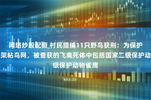 网络炒股配资 村民猎捕11只野鸟获刑：为保护庄稼私架粘鸟网，被查获的飞禽死体中包括国家二级保护动物雀鹰