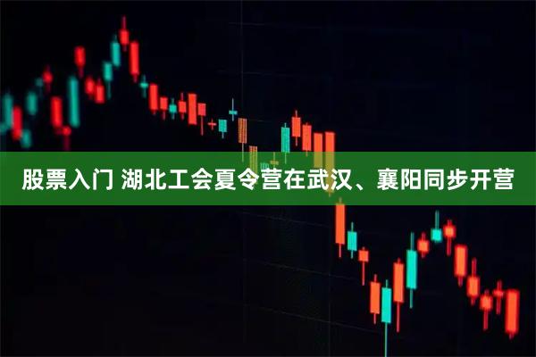 股票入门 湖北工会夏令营在武汉、襄阳同步开营